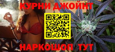 гидропоника Гусев