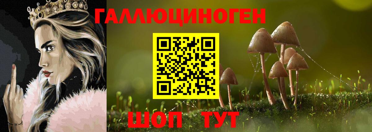 Набережные Челны  Галлюциногенные грибы GOLDEN TEACHER  Галлюциногенные грибы Magic Shrooms  дарнет шоп  Вход с VPN 